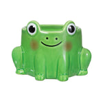 Mini green frog planter sass and belle