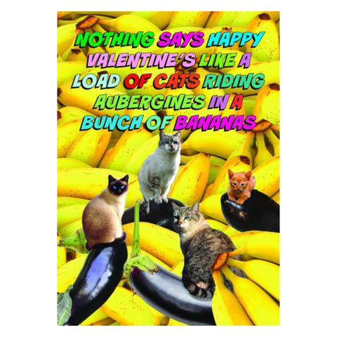 Card - Cats Riding Aubergines