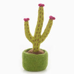 cactus lover gift