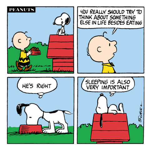 snoopy peanuts birthday card comic sleeping is important
